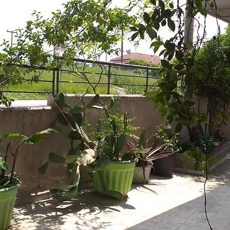 Διαμέρισμα Stella's Jasmine