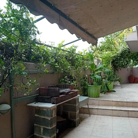 Stella's Jasmine
